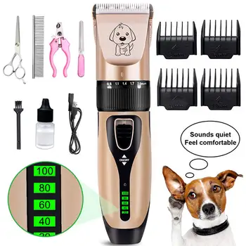Madal Müra Professional Pet Hair Clipper USB Laetav Electric Kass Koera Peibutamise Karvade Trimmer Pardel koos Kogu Grooming Kit