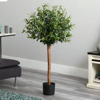Oliiviõli Ilupuude Pügamiskunst Silk Tree