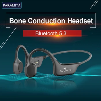 PARAMITA Päris Luu Juhtivus Kõrvaklapid, Bluetooth Kõrvaklapid Veekindel Sport Headset koos Mic Treeningu Töötab